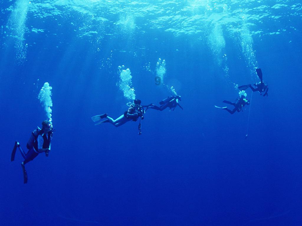 海滩别墅逃生