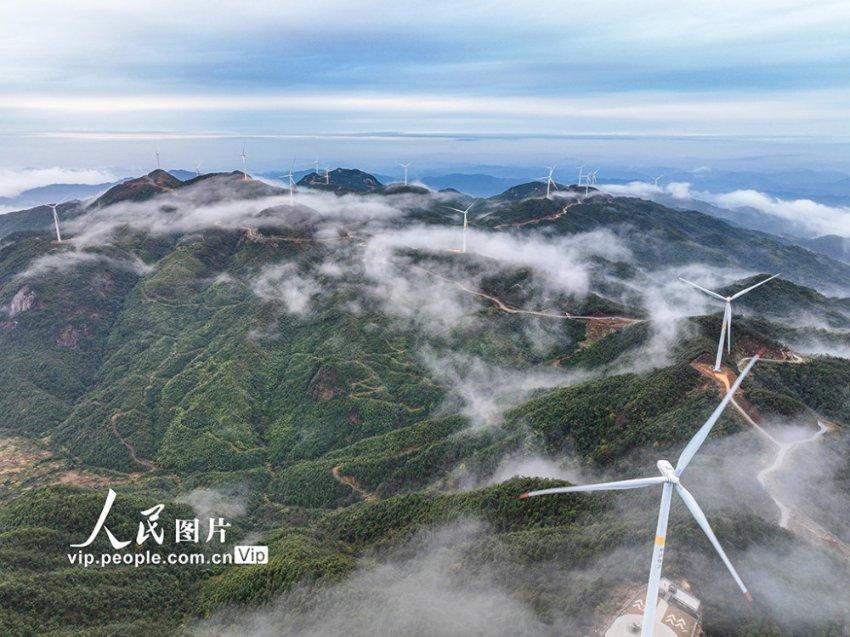 拯救小萌虎