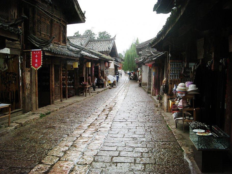 小狗救援行动选关版